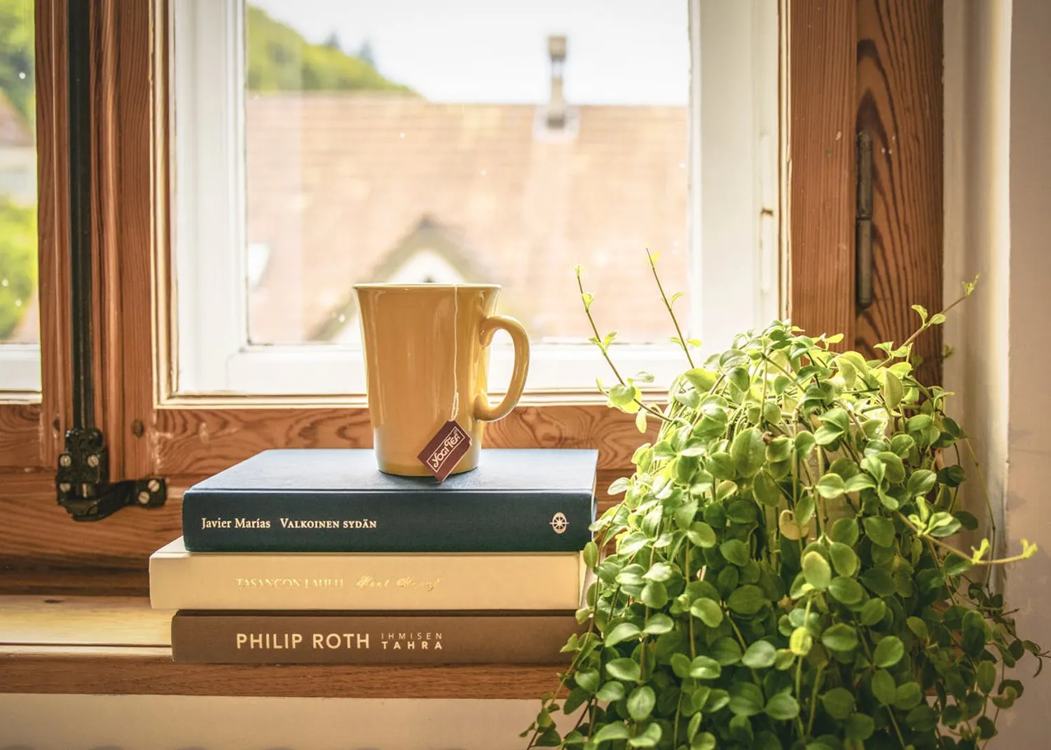 Morning cup of tea. 